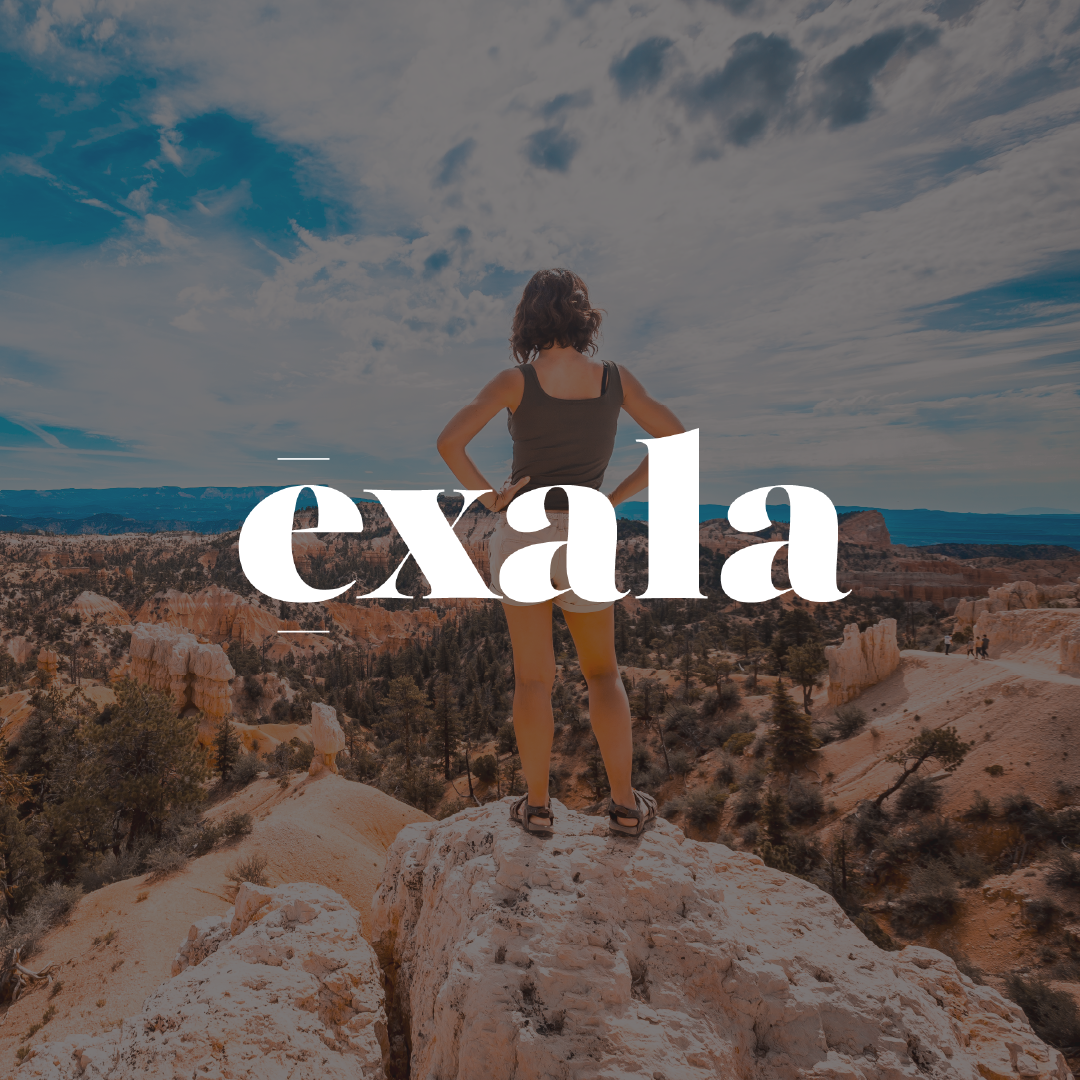 Exala web 2